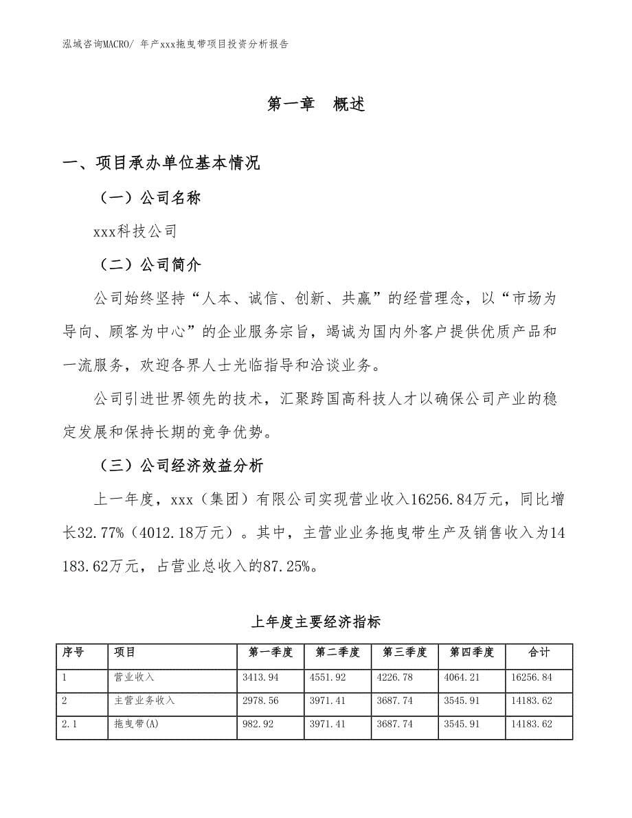 年产xxx拖曳带项目投资分析报告_第5页