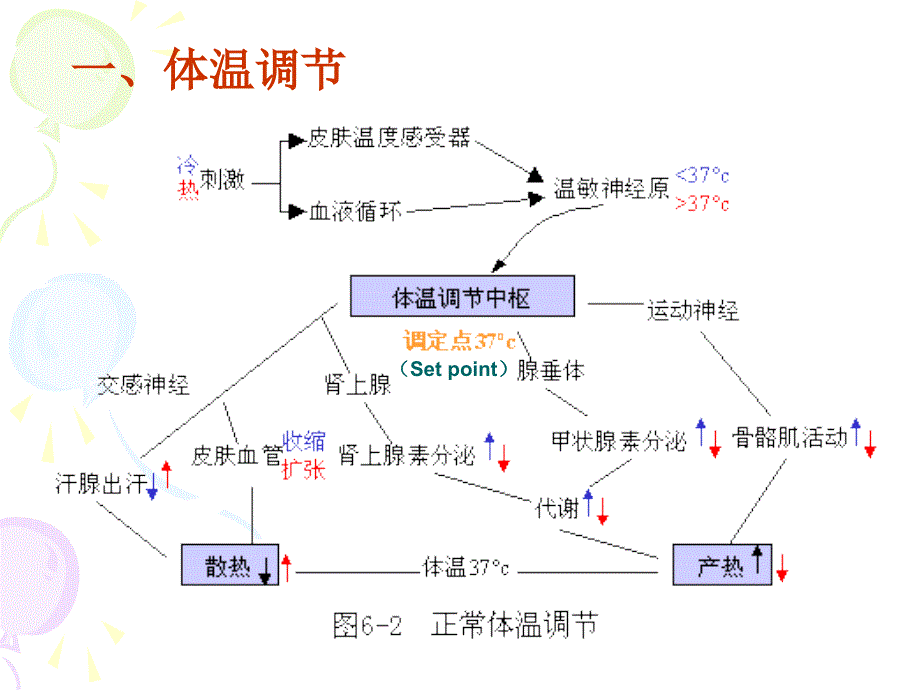 《动物病理学发热》ppt课件_第3页