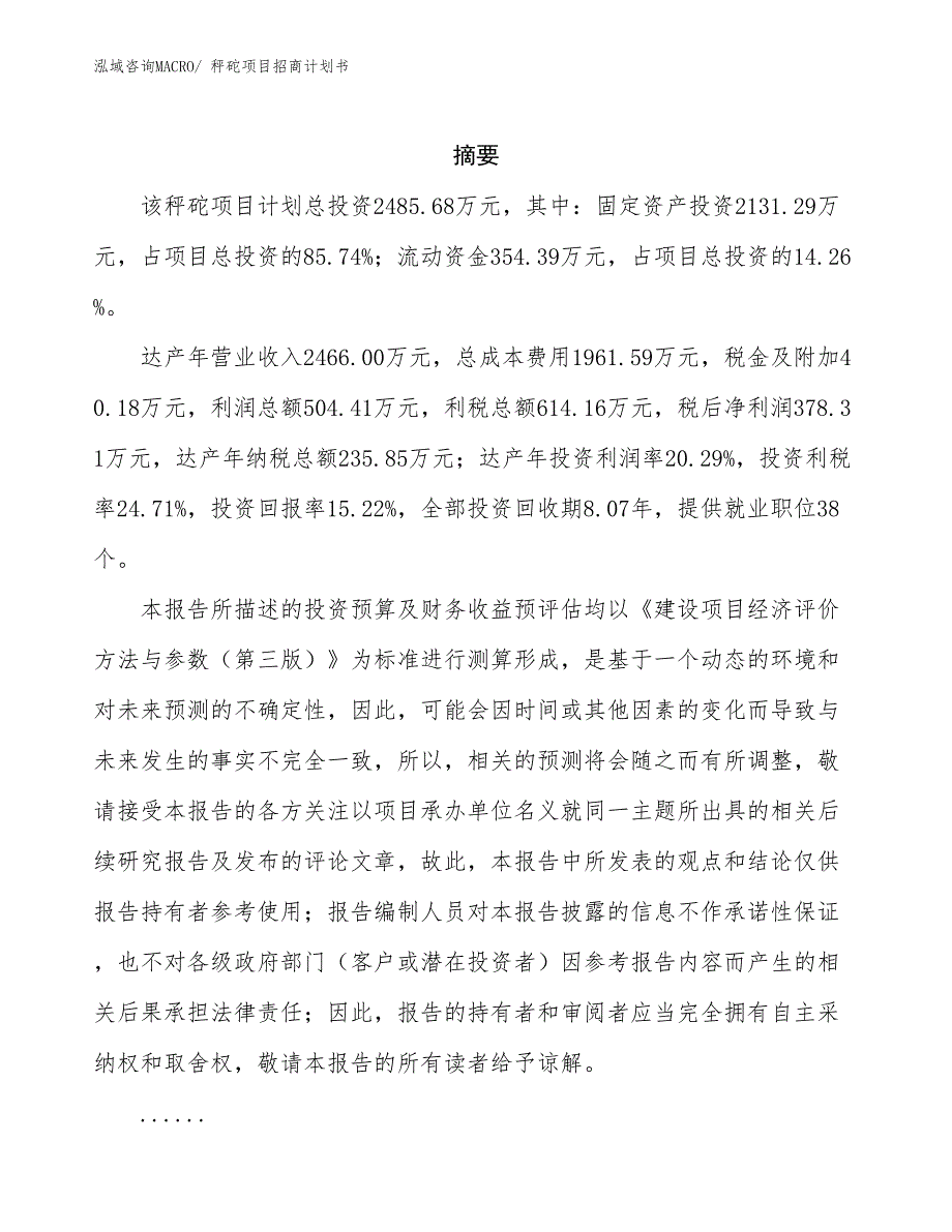 秤砣项目招商计划书_第2页