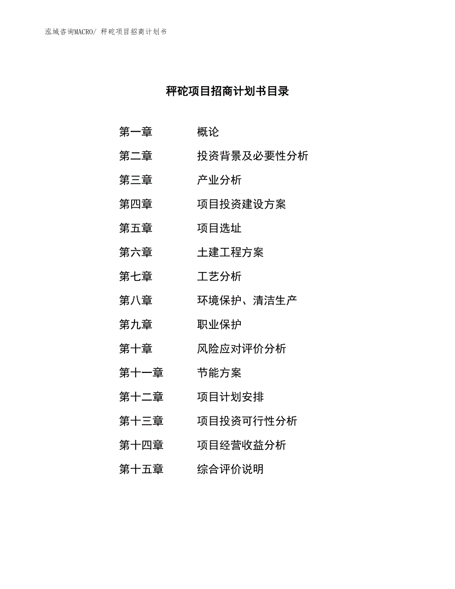 秤砣项目招商计划书_第4页