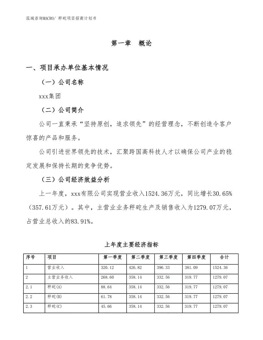 秤砣项目招商计划书_第5页