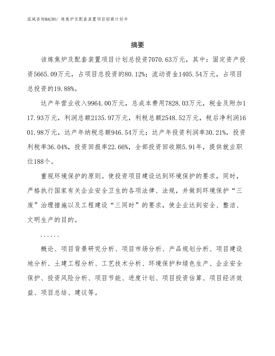 炼焦炉及配套装置项目招商计划书_第2页