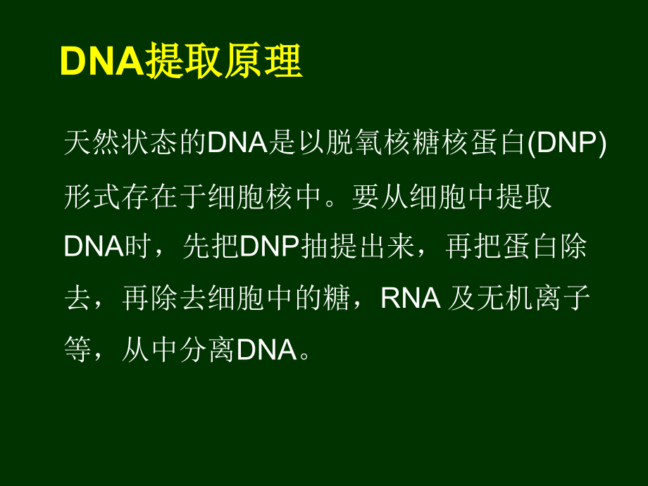 《分子生物实验技术》ppt课件_第3页