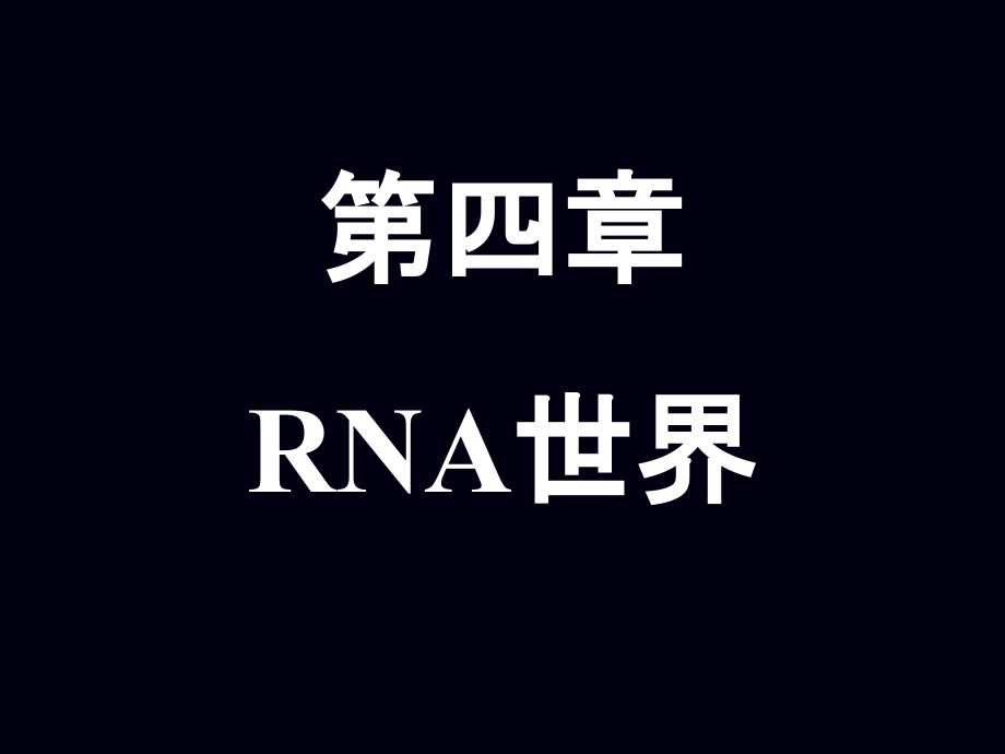 《mallrna的世界》ppt课件_第1页