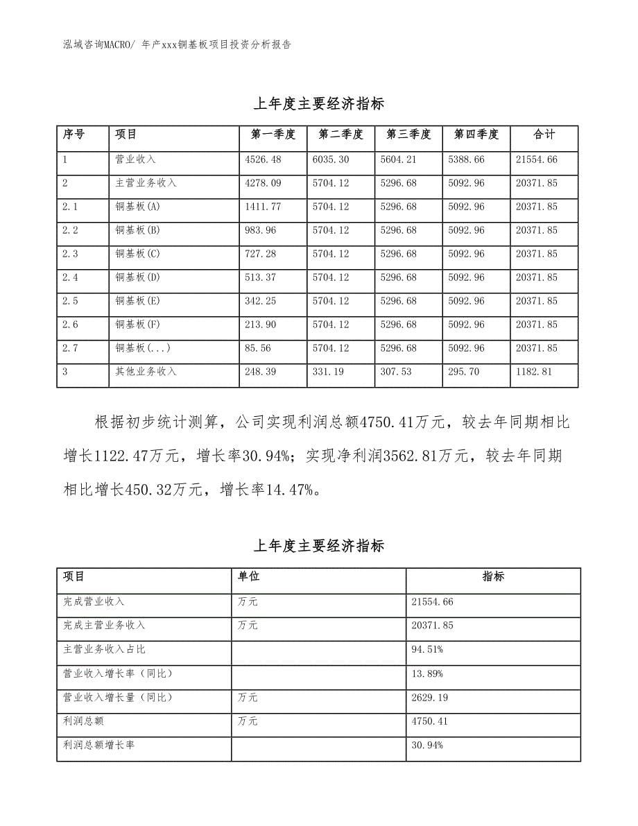 年产xxx铜基板项目投资分析报告_第5页