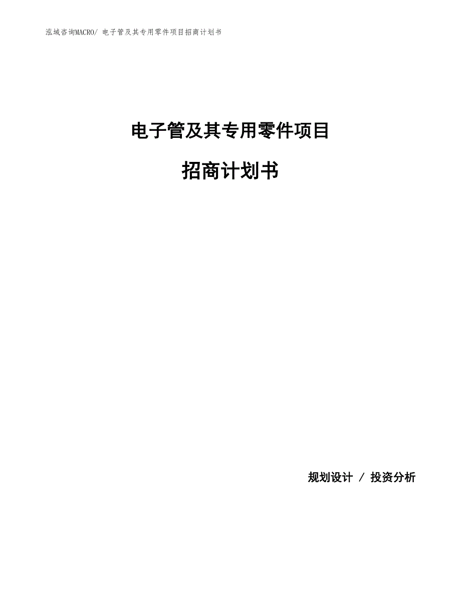 电子管及其专用零件项目招商计划书_第1页