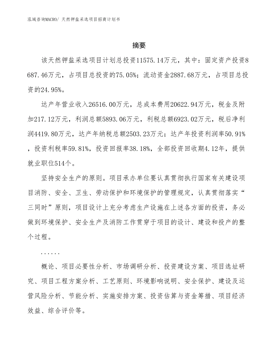 天然钾盐采选项目招商计划书_第2页