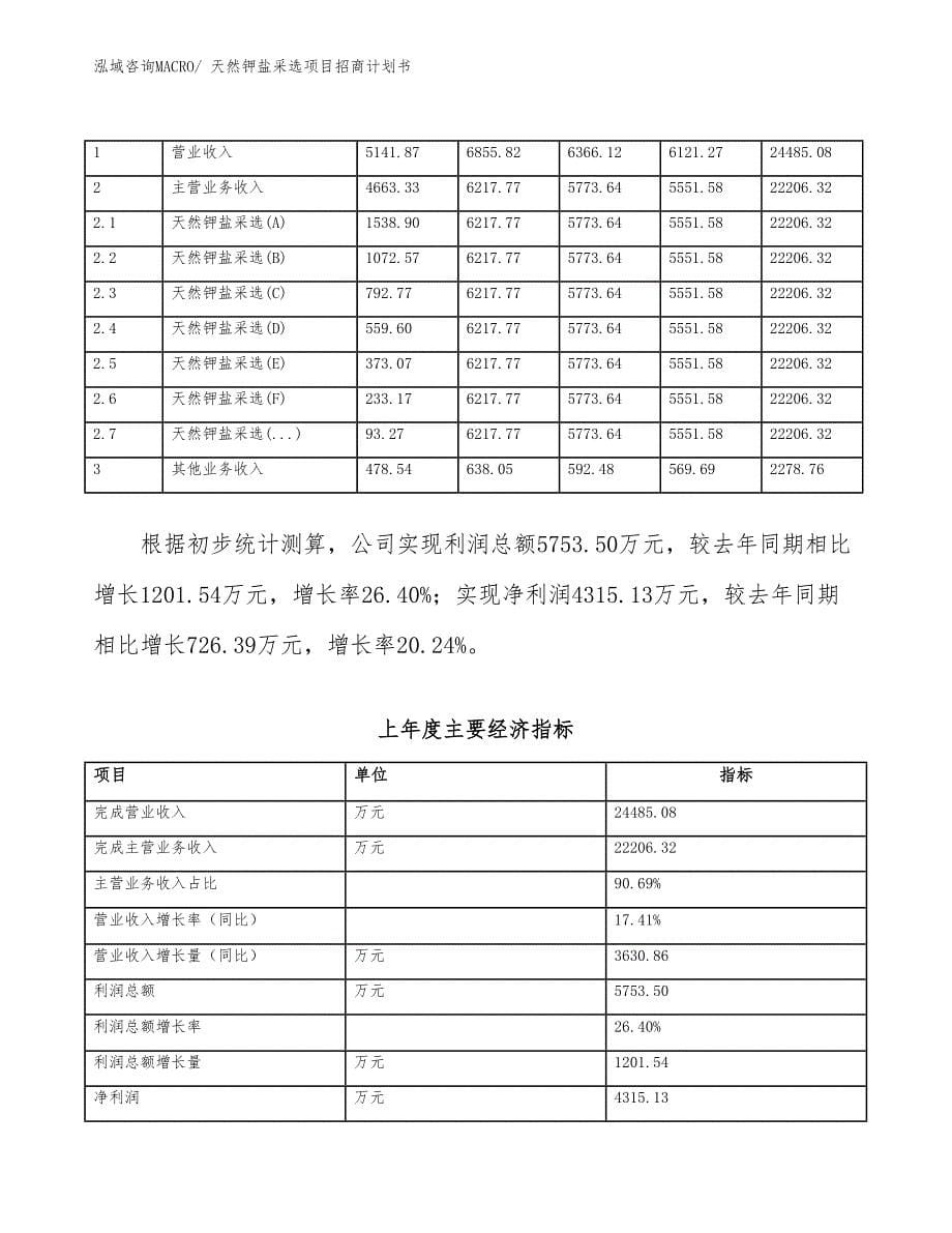 天然钾盐采选项目招商计划书_第5页