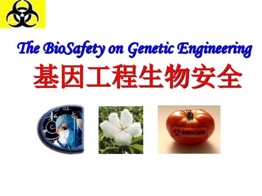 《基因工程生物安全》ppt课件_第1页