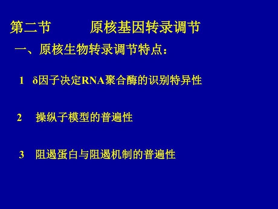 《医师基因表达调控》ppt课件_第5页