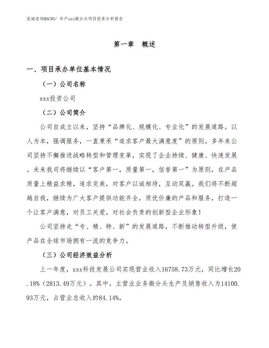 年产xxx微分头项目投资分析报告_第4页