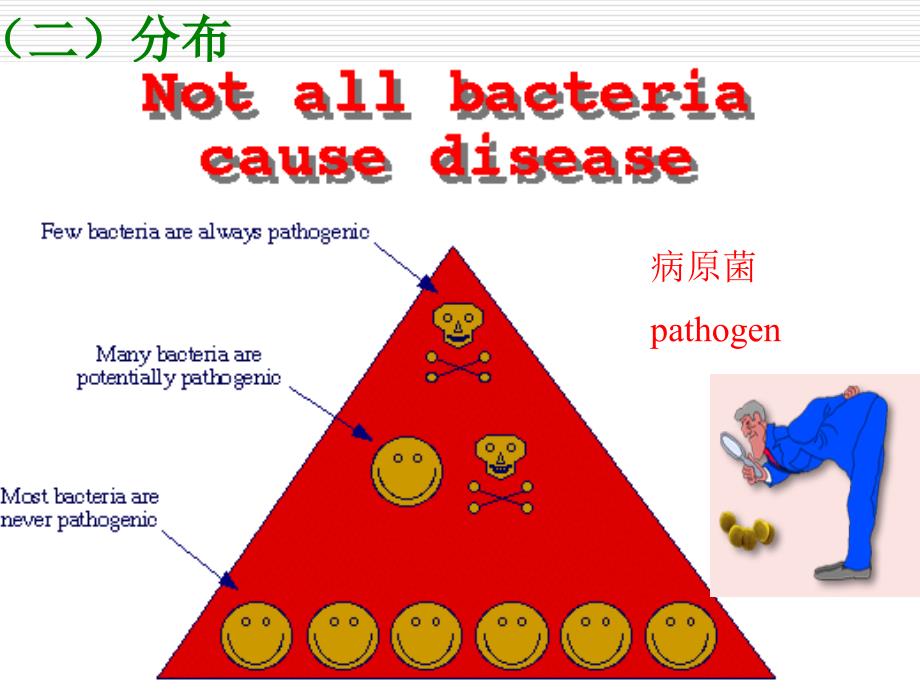 医学微生物学第7章细菌的感染与免疫_第3页