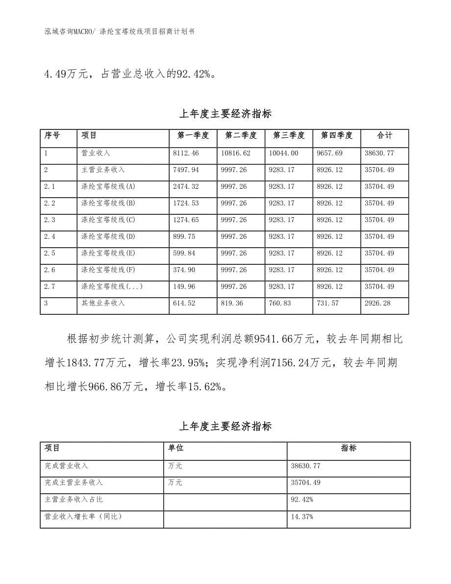 涤纶宝塔绞线项目招商计划书_第5页