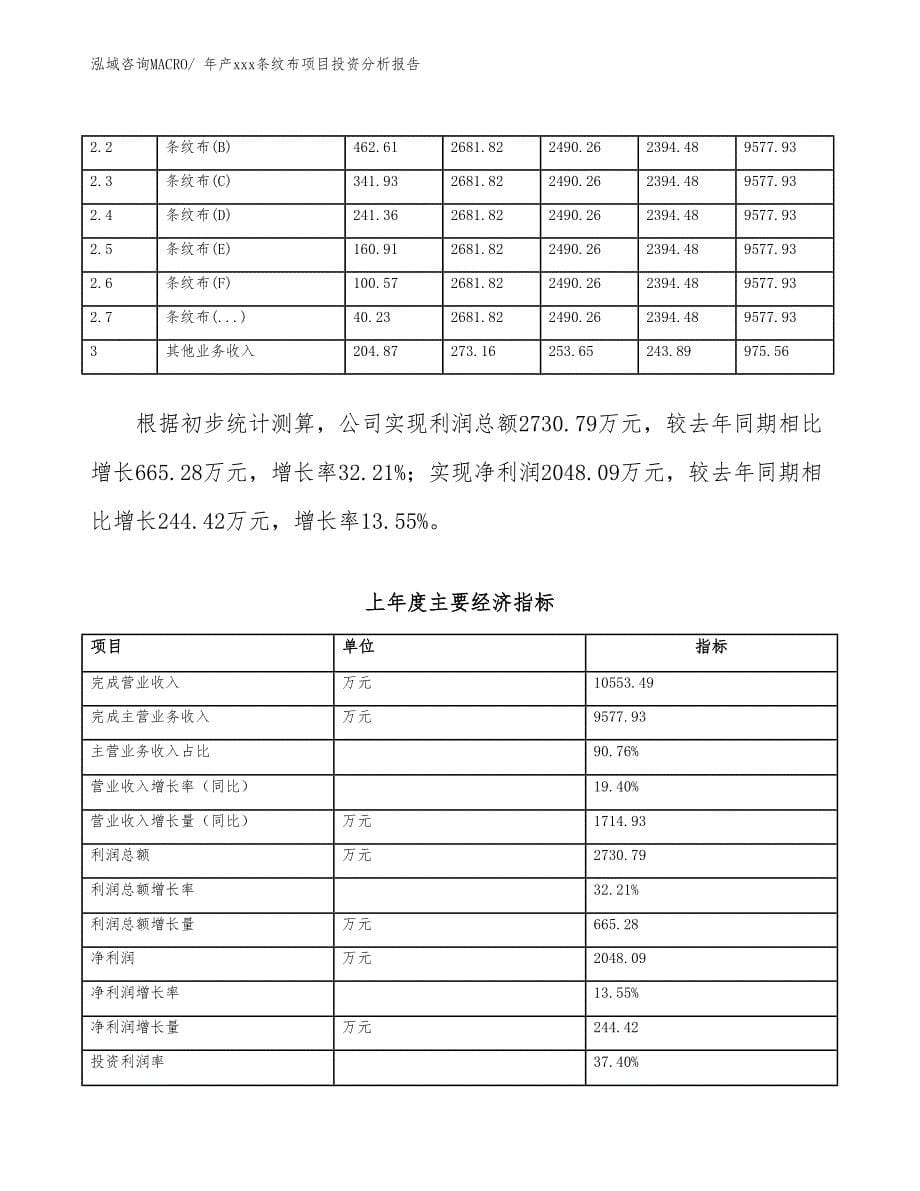 年产xxx条纹布项目投资分析报告_第5页