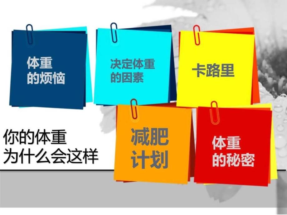 课件：健康饮食的知识_第2页