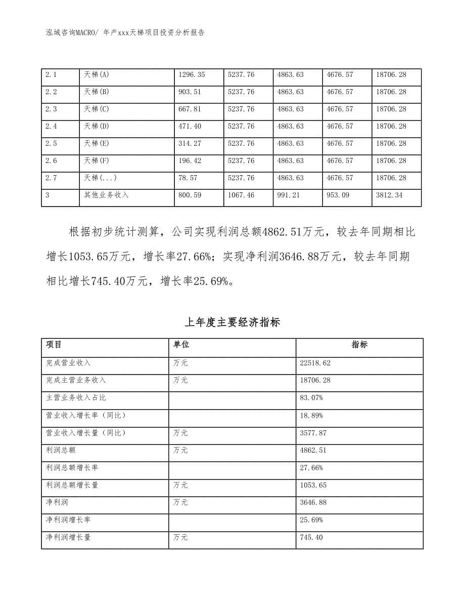 年产xxx天梯项目投资分析报告_第5页