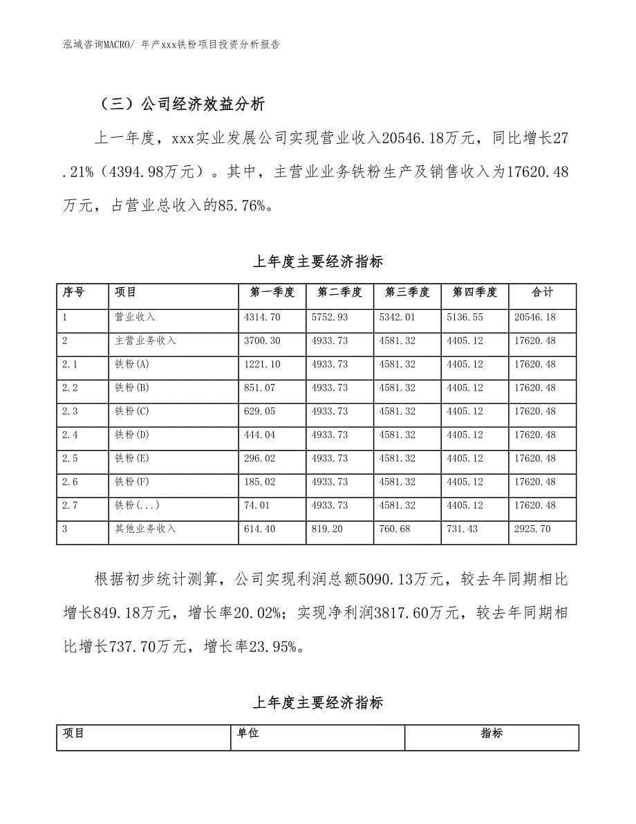 年产xxx铁粉项目投资分析报告_第5页