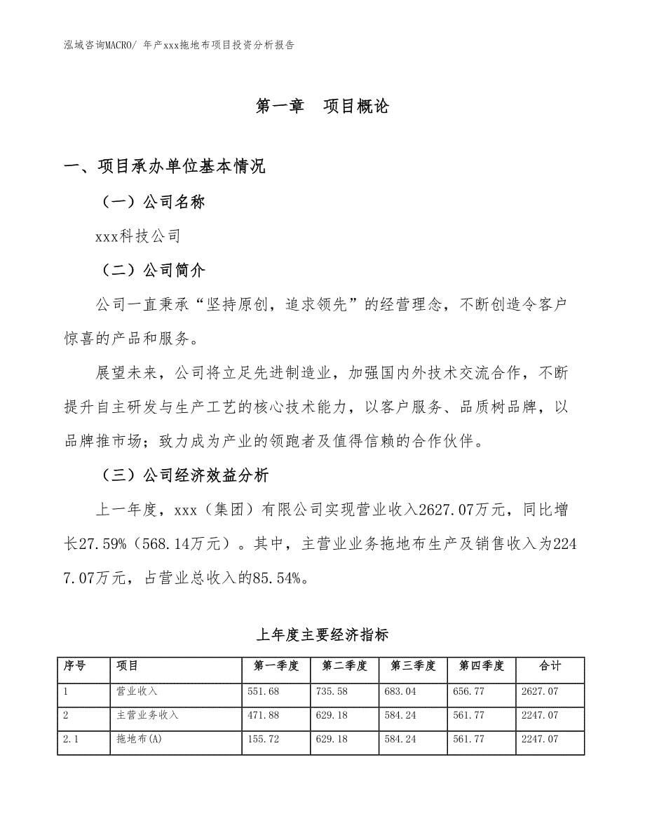 年产xxx拖地布项目投资分析报告_第5页