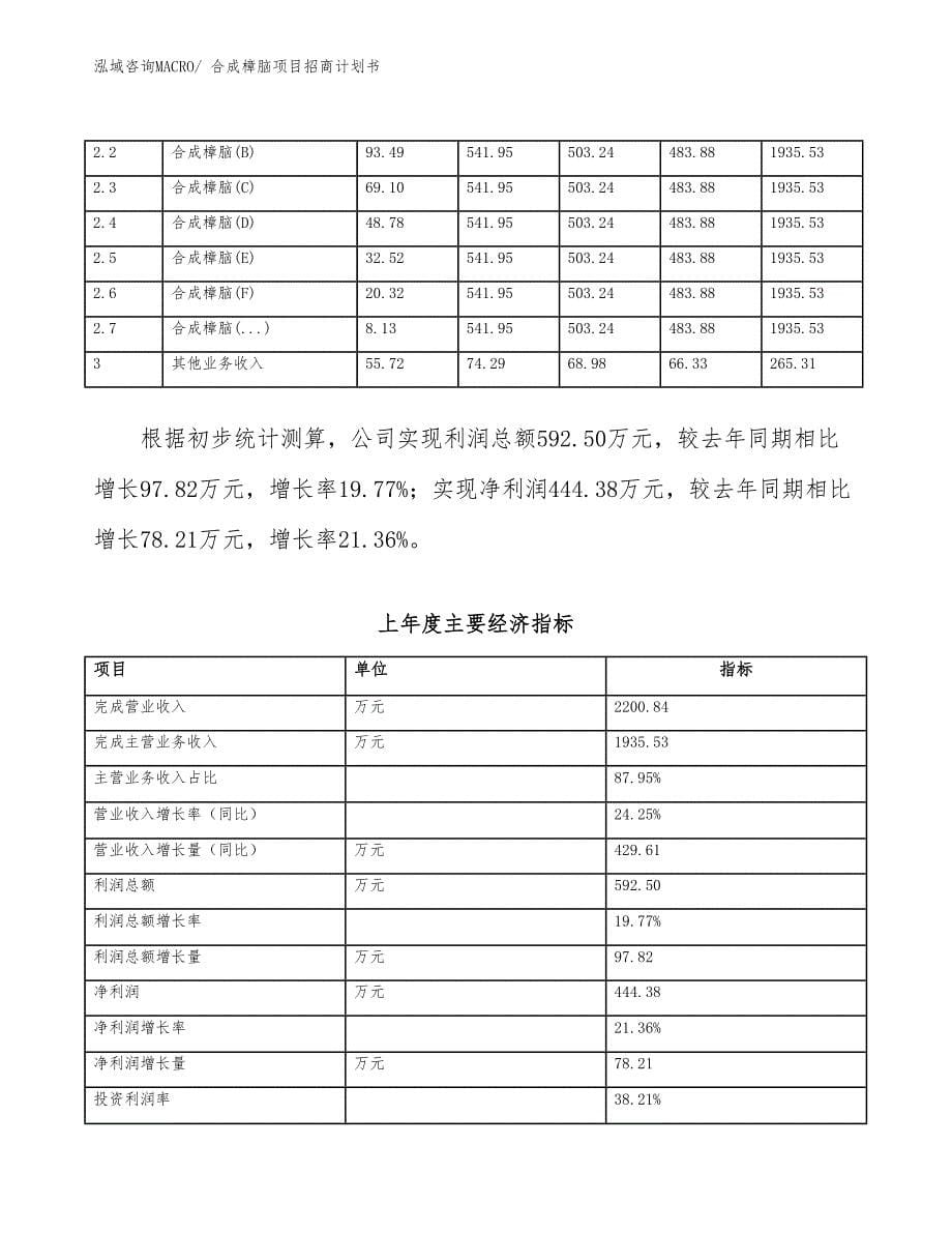 合成樟脑项目招商计划书_第5页