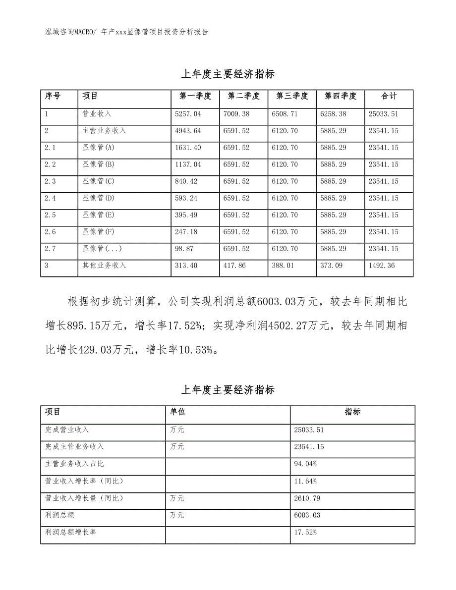 年产xxx显像管项目投资分析报告_第5页