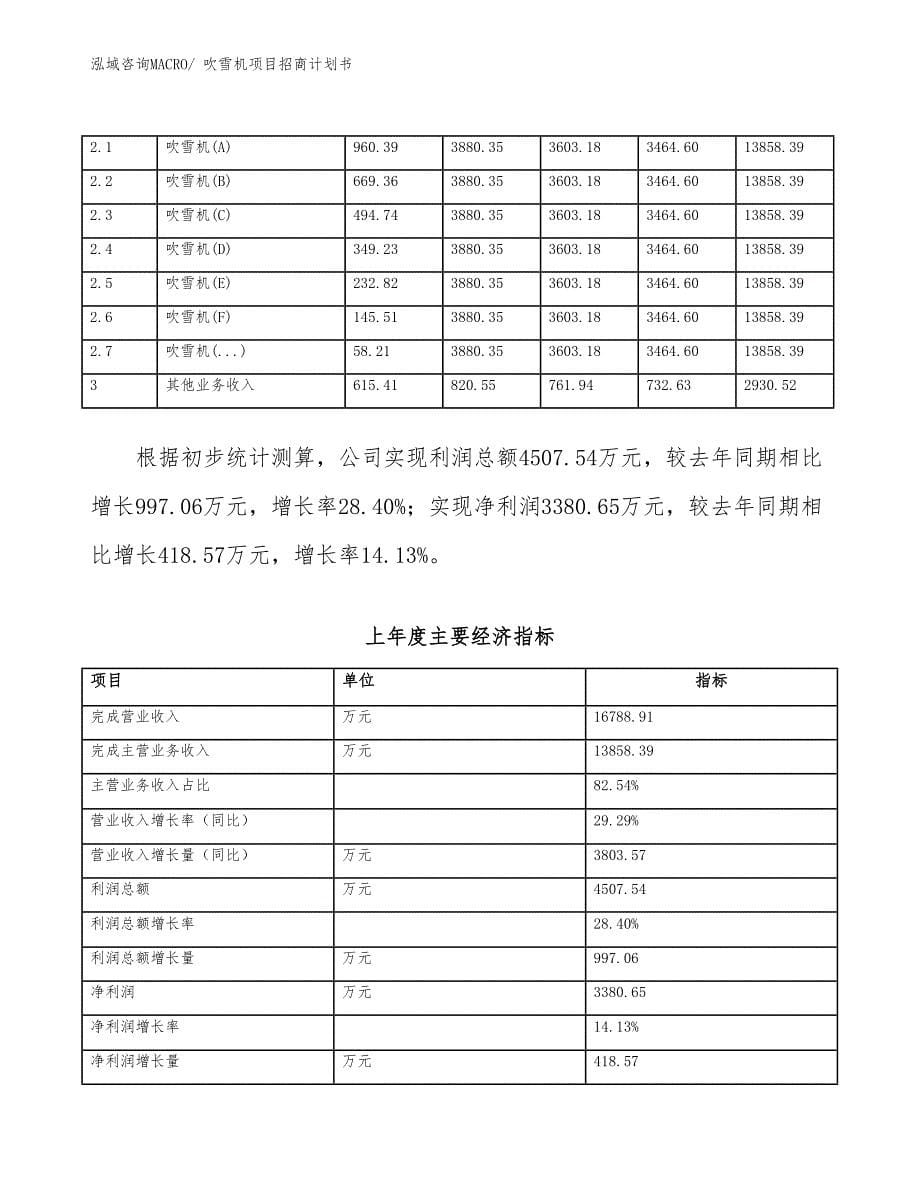 吹雪机项目招商计划书_第5页