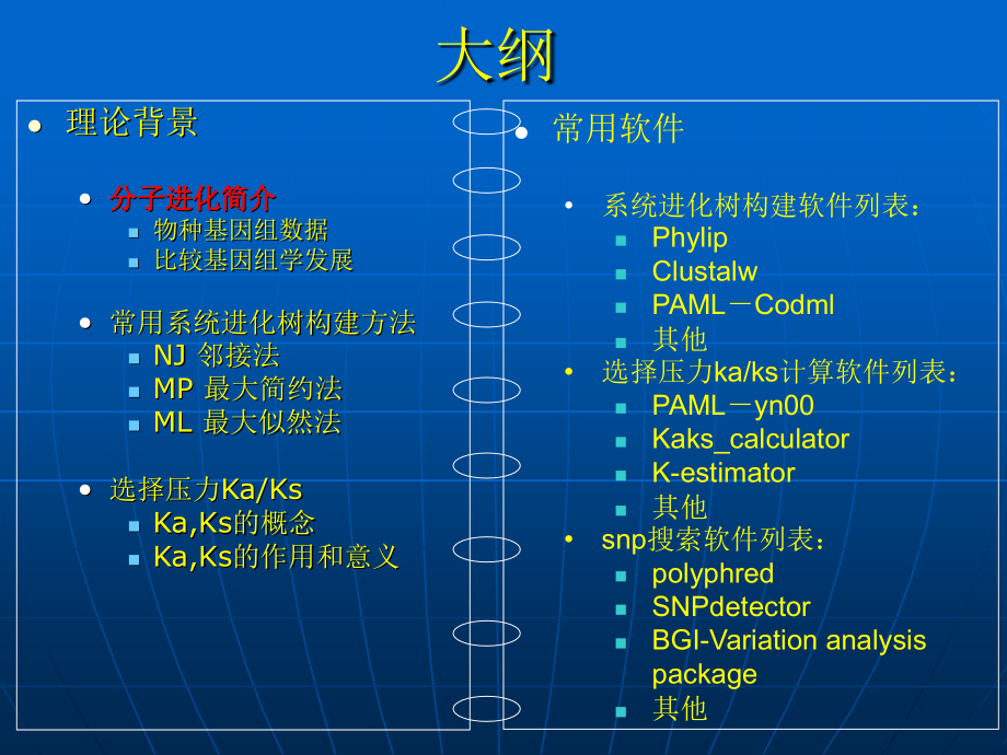 《多态性和分子进化》ppt课件_第3页