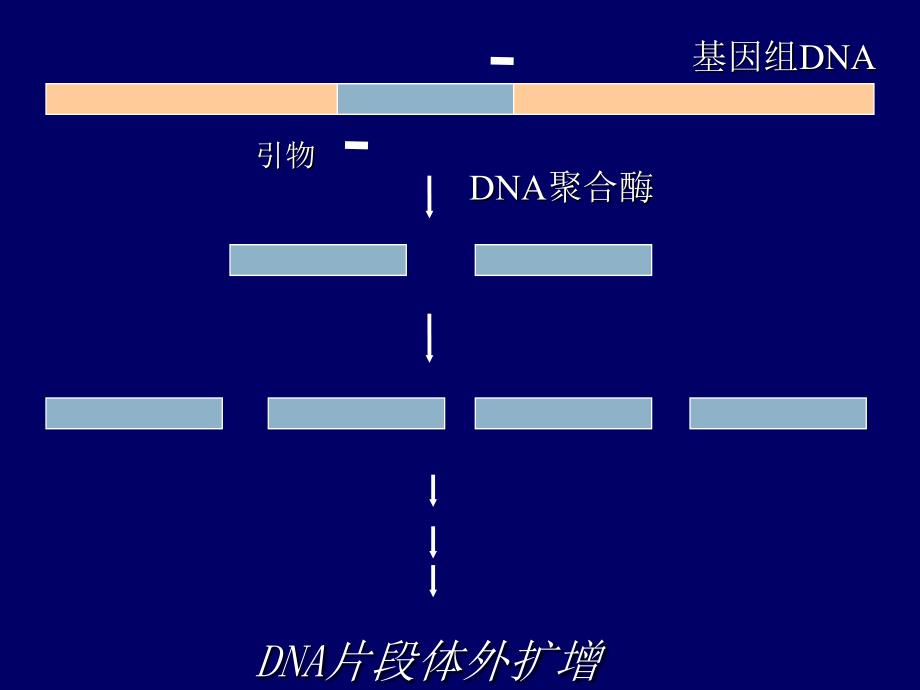 《cr技术极其应用》ppt课件_第4页