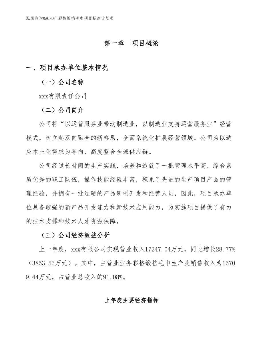 彩格缎档毛巾项目招商计划书_第5页