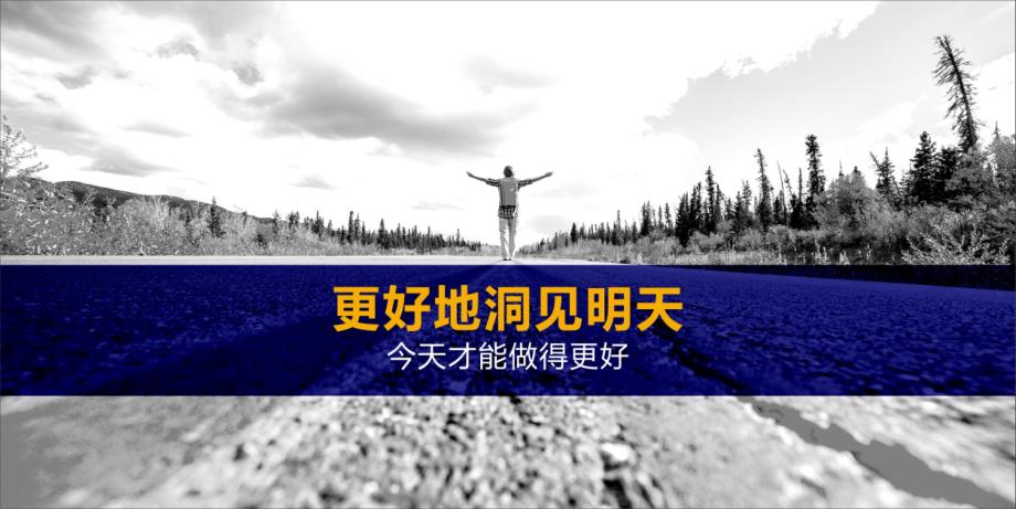 1.道里《大文旅的小趋势》张道鑫_第3页