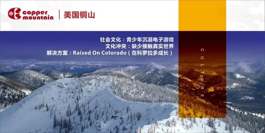 1.道里《大文旅的小趋势》张道鑫_第5页