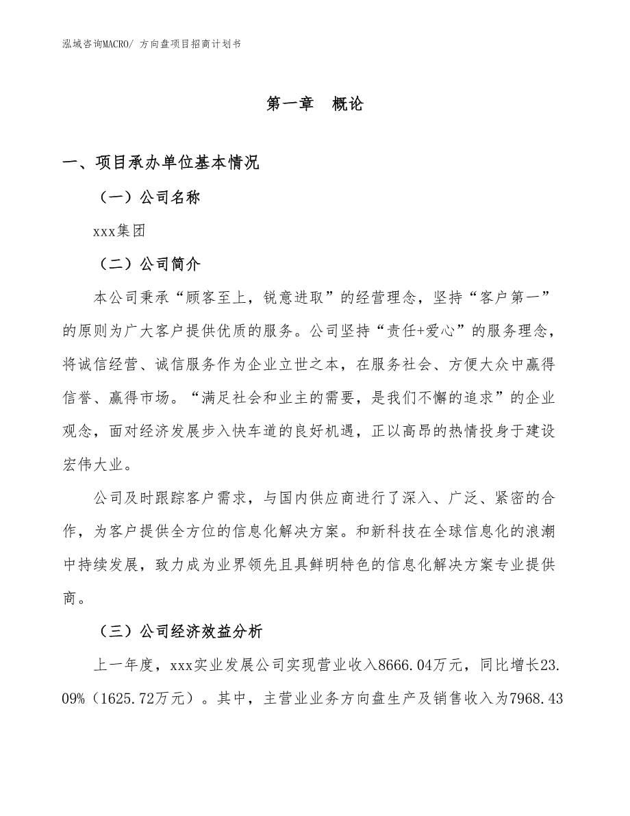 方向盘项目招商计划书_第5页