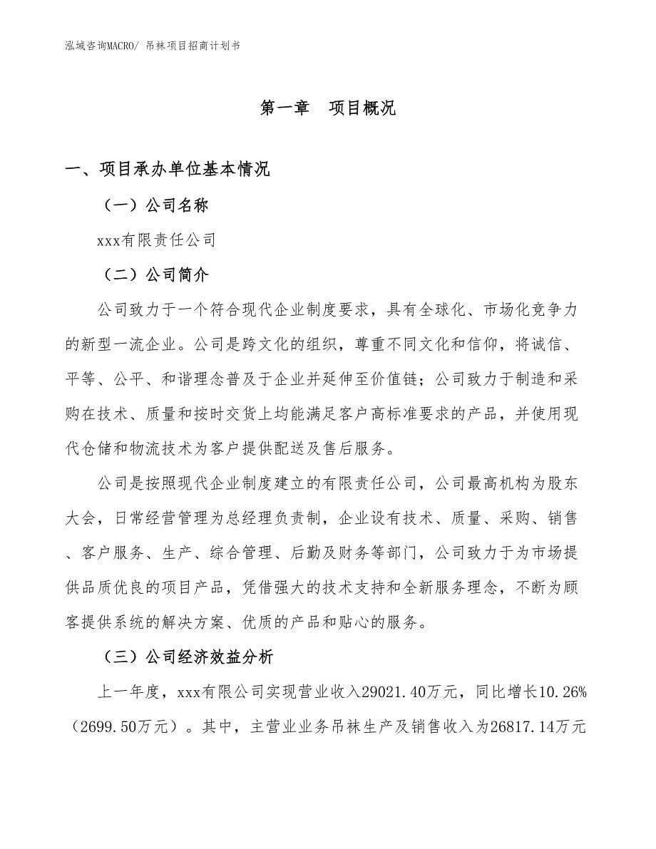 吊袜项目招商计划书_第5页