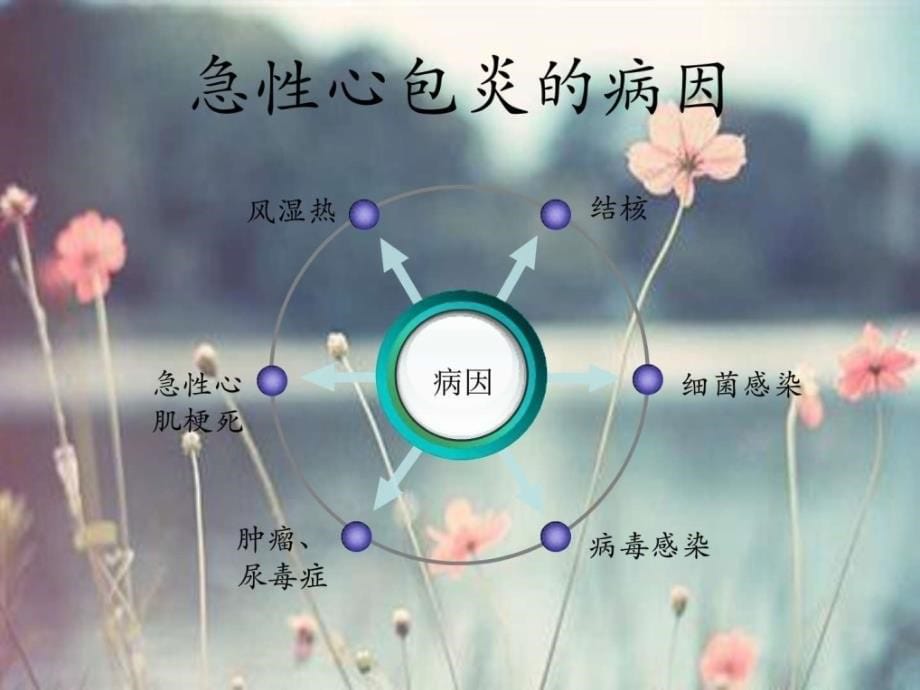 课件：急性心包炎的护理_第5页