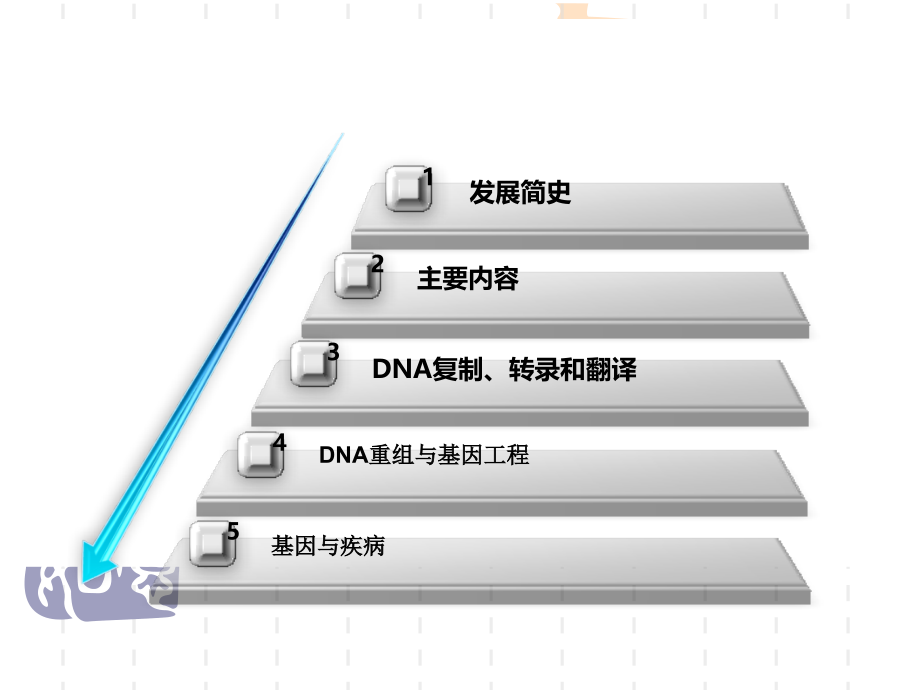 《dna复制、转录翻译》ppt课件_第2页