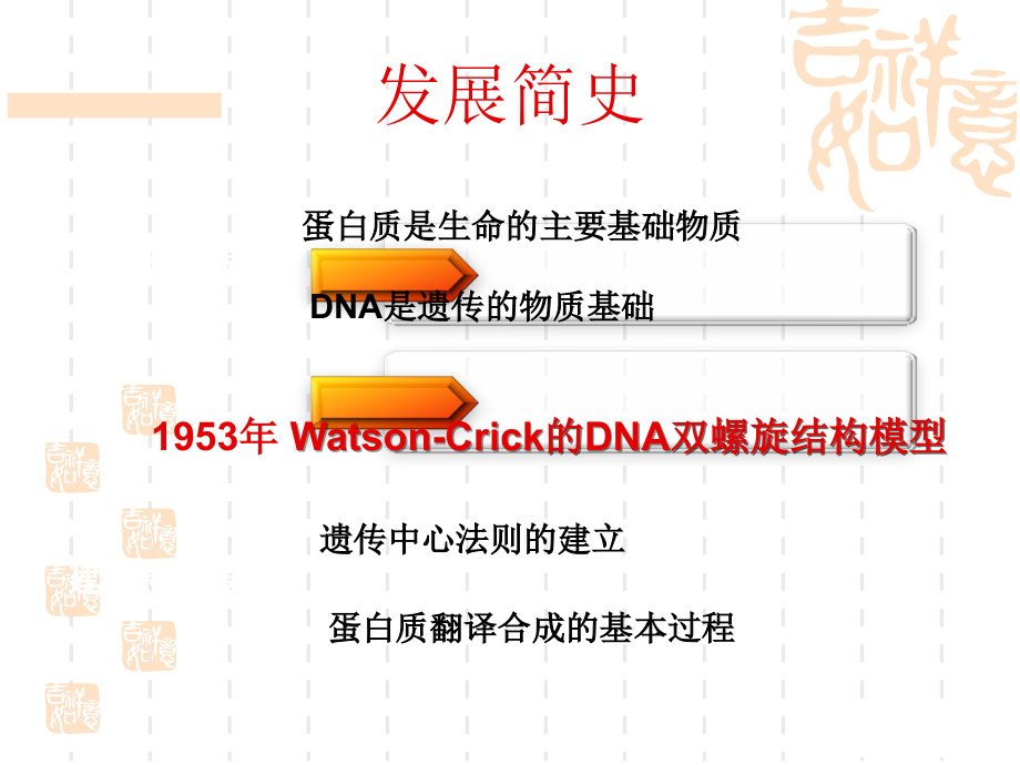 《dna复制、转录翻译》ppt课件_第3页