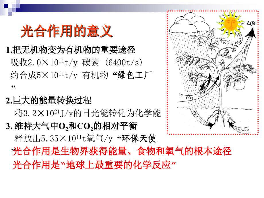 《光合作用》课件_第4页