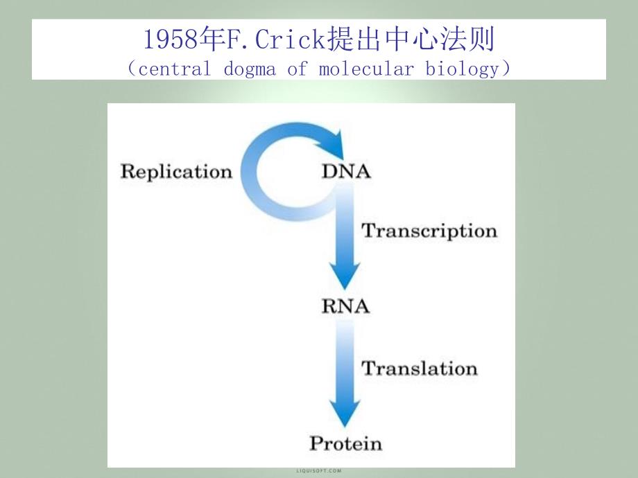 《dna合成》ppt课件_第1页