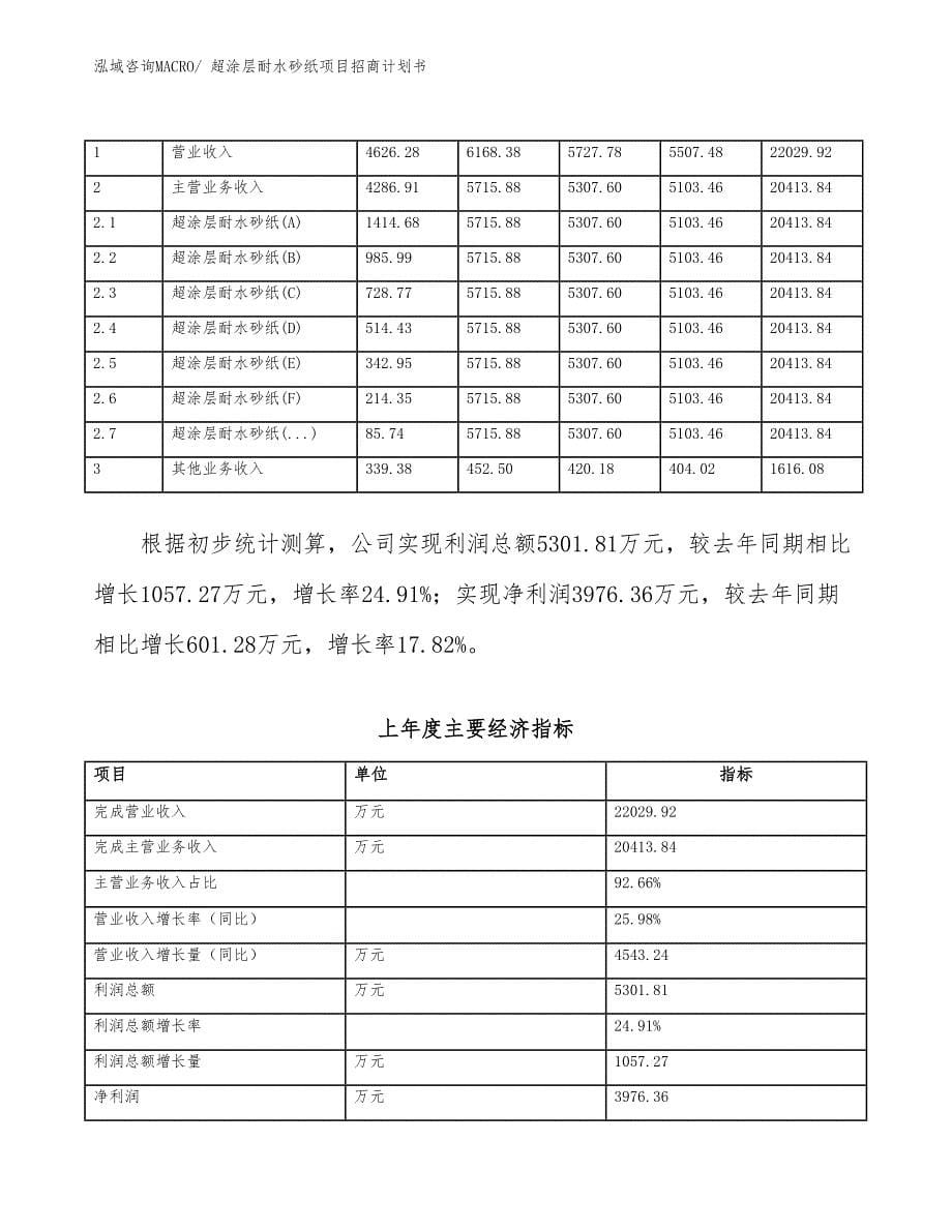 超涂层耐水砂纸项目招商计划书_第5页