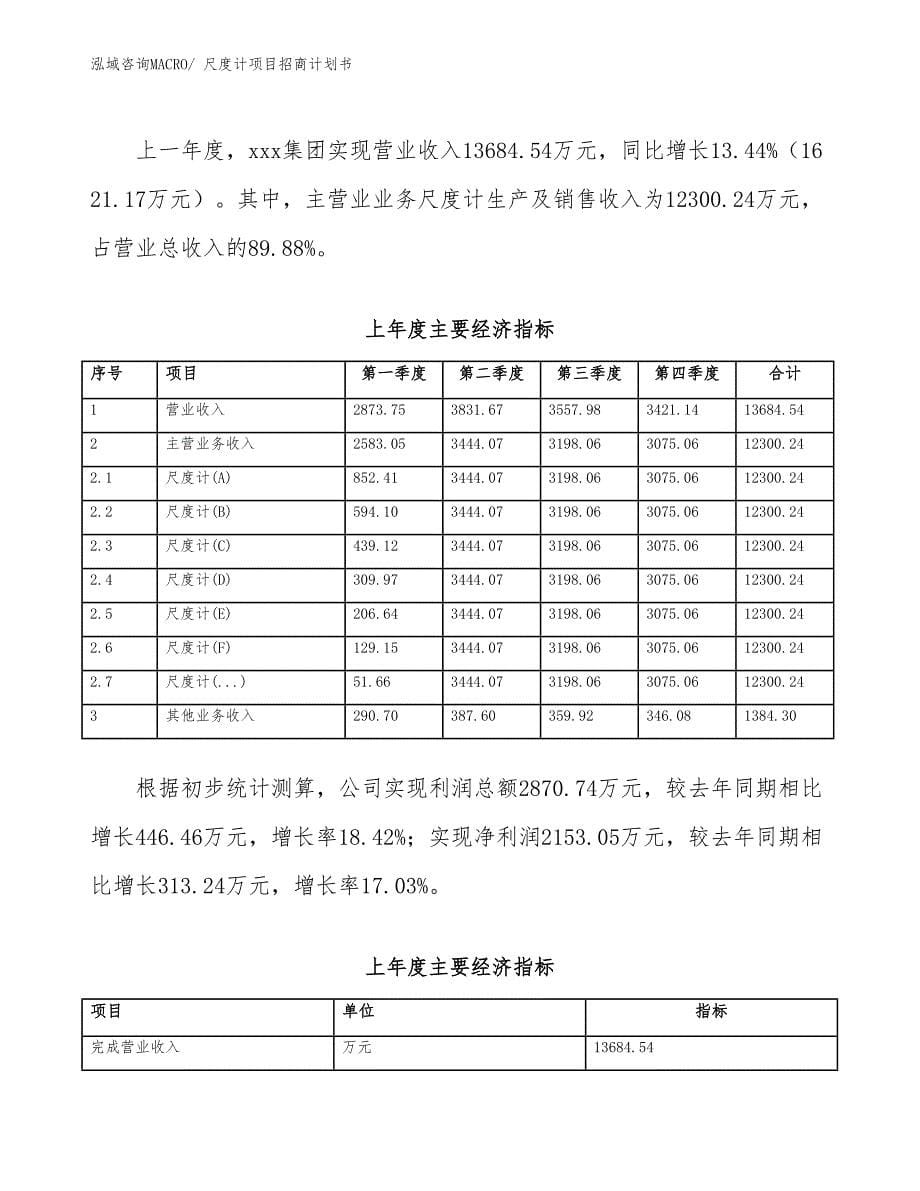 尺度计项目招商计划书_第5页