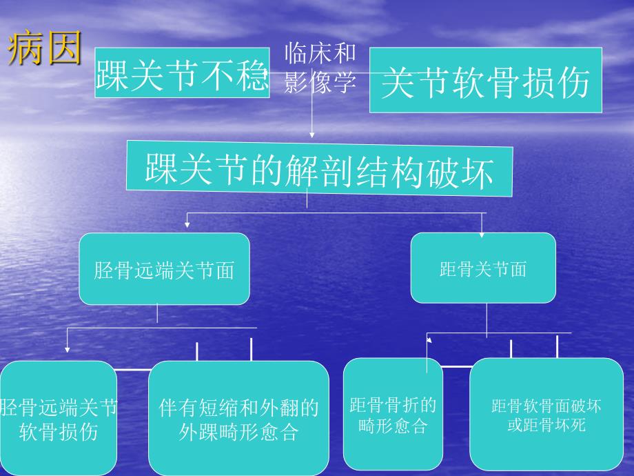 《全踝关节置换术》ppt课件_第4页