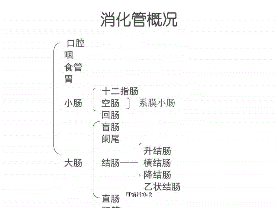 课件：空肠与回肠_第3页