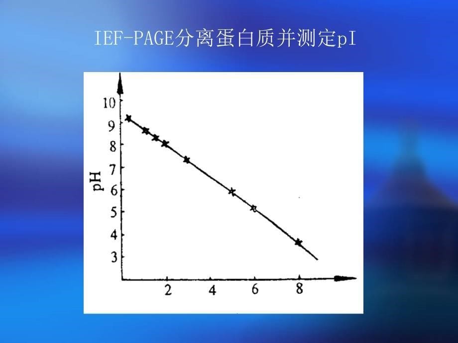 《实验等电聚焦电泳》ppt课件_第5页