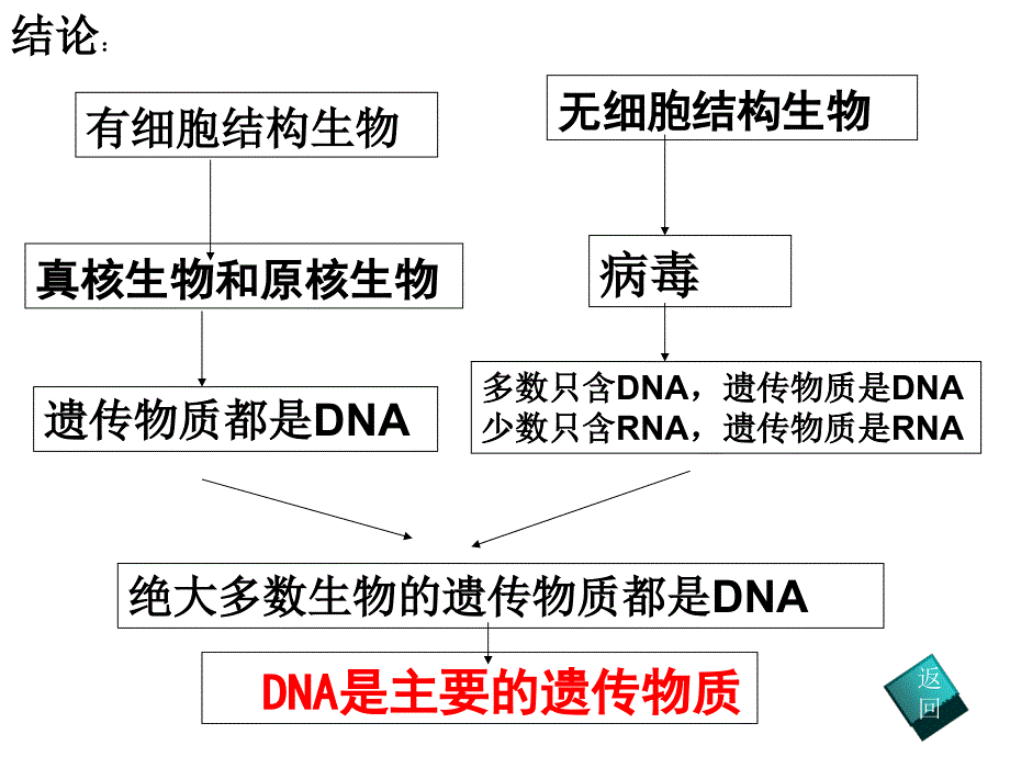 《复制表达》ppt课件_第2页