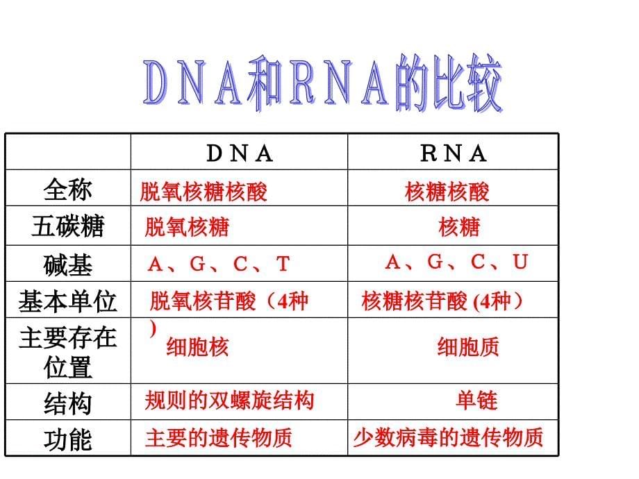 《复制表达》ppt课件_第5页