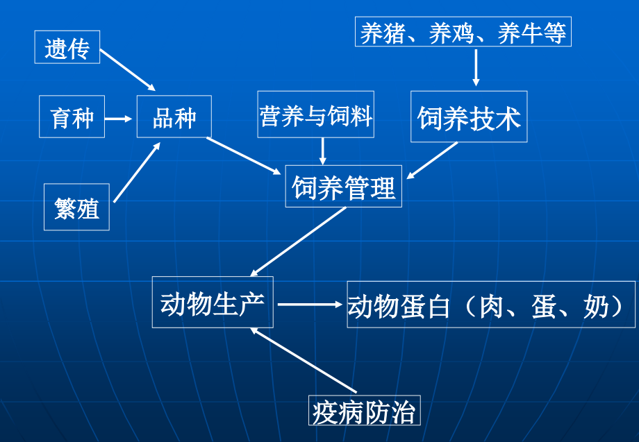 《动物营养学》ppt课件_第2页