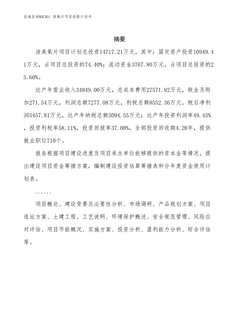 臭氧片项目招商计划书_第2页