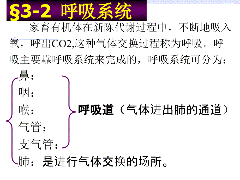 w第三章内脏2呼吸系统_第1页