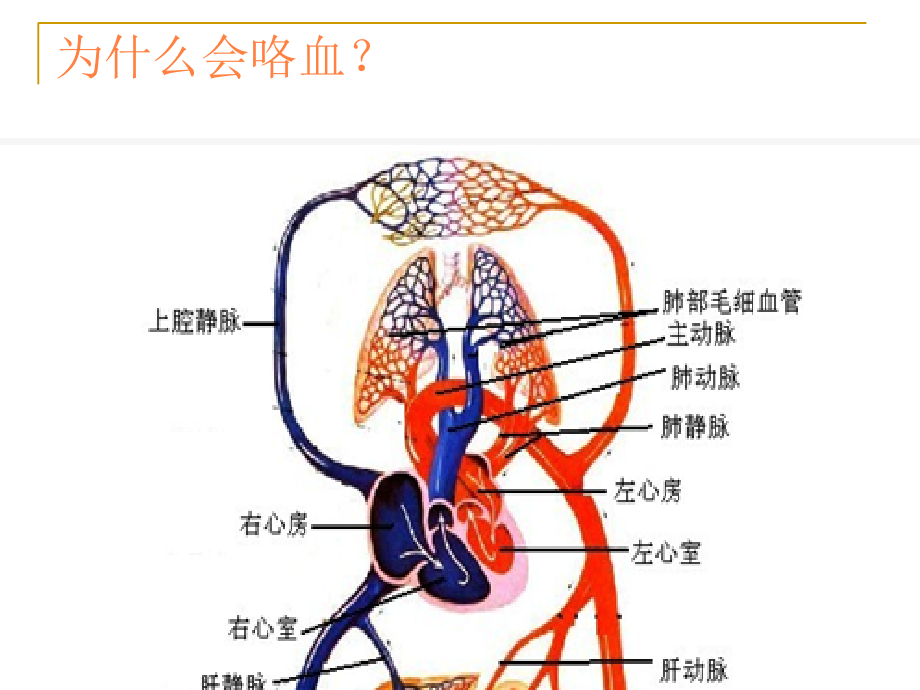 课件：咯血的诊治与进展_第4页