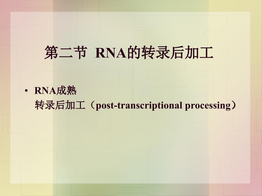《irna的转录后加工》ppt课件_第1页