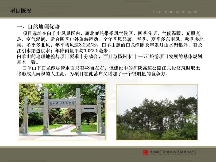 2009年江苏仪征西郊深林温泉别墅度假村方案研究报告_第5页